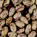 Haricots-Cocos-Roses.webp