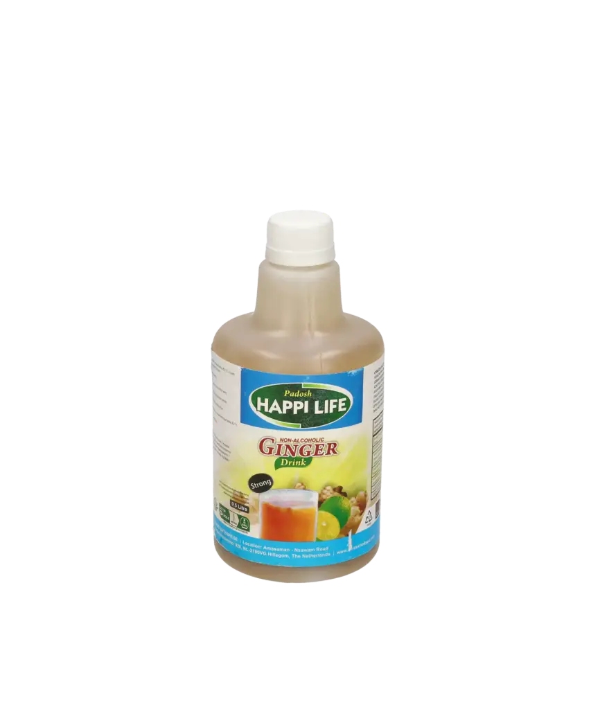 Happi Life Ginger Drink (Bottle) 12x500 ml