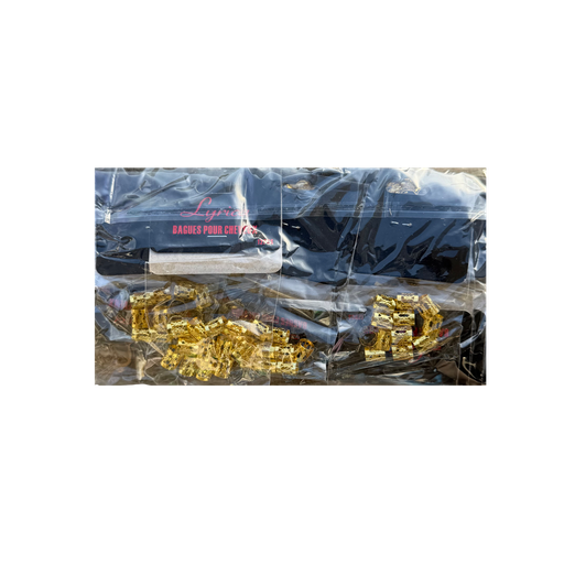 [LYR2731] Lyrica Metal Hair Rings Gold 12 Pack